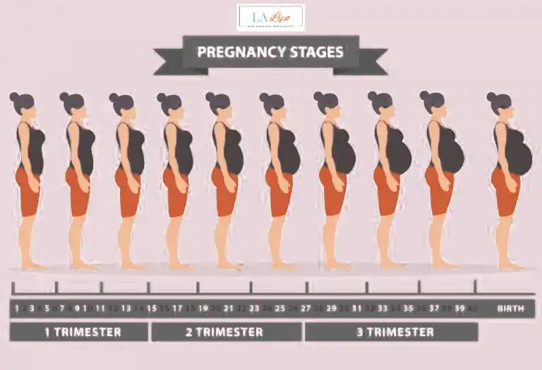 First Trimester (Weeks 1–12): Early Changes You Might Not Notice Greater London (Barnet)